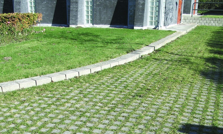 Grass paving block