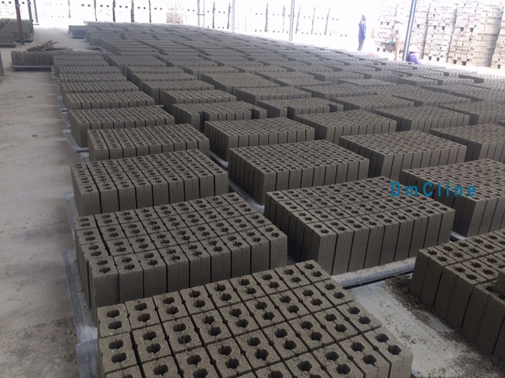 Khay gạch thành phẩm dây chuyền sản xuất gạch không nung DmCline D10